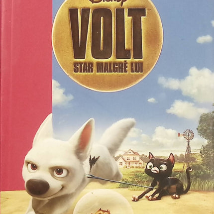 Volt, star malgré lui – Roman Disney jeunesse – Aventure canine, amitié et péripéties du célèbre chien héros - Bibliothèque Rose - Livre
