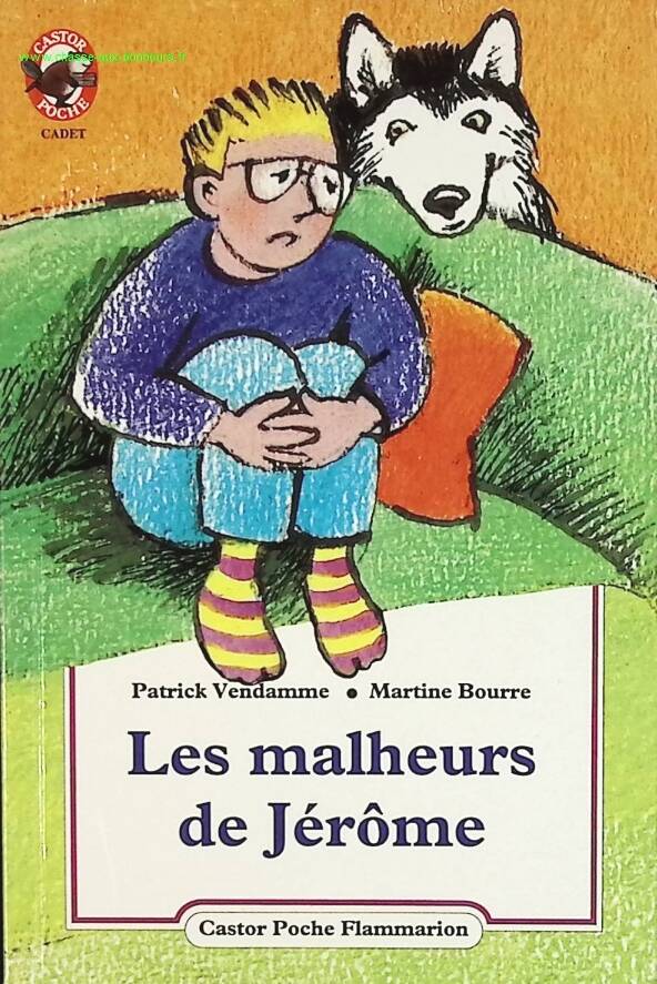 Les malheurs de Jérôme - Patrick Vendamme - livre