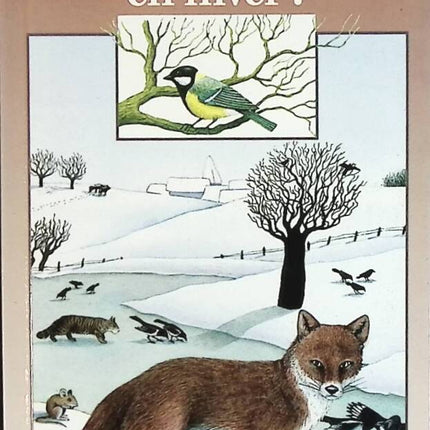 How do animals live in winter? - Sairigne Catherine De - book
