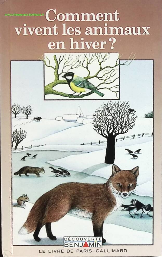 Comment vivent les animaux en hiver ? - Sairigne Catherine De - livre