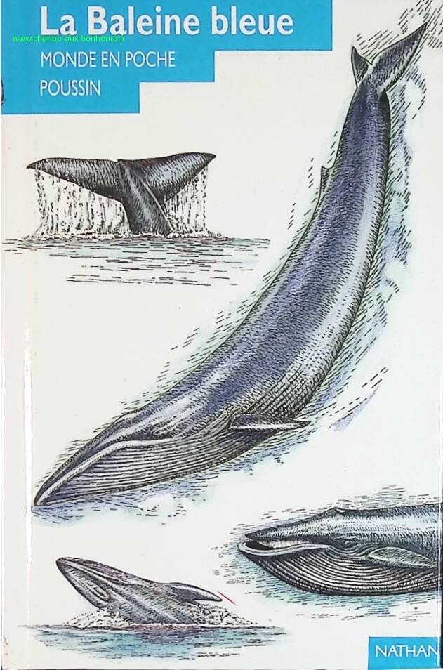Le baleine bleue - Angela Royston - livre