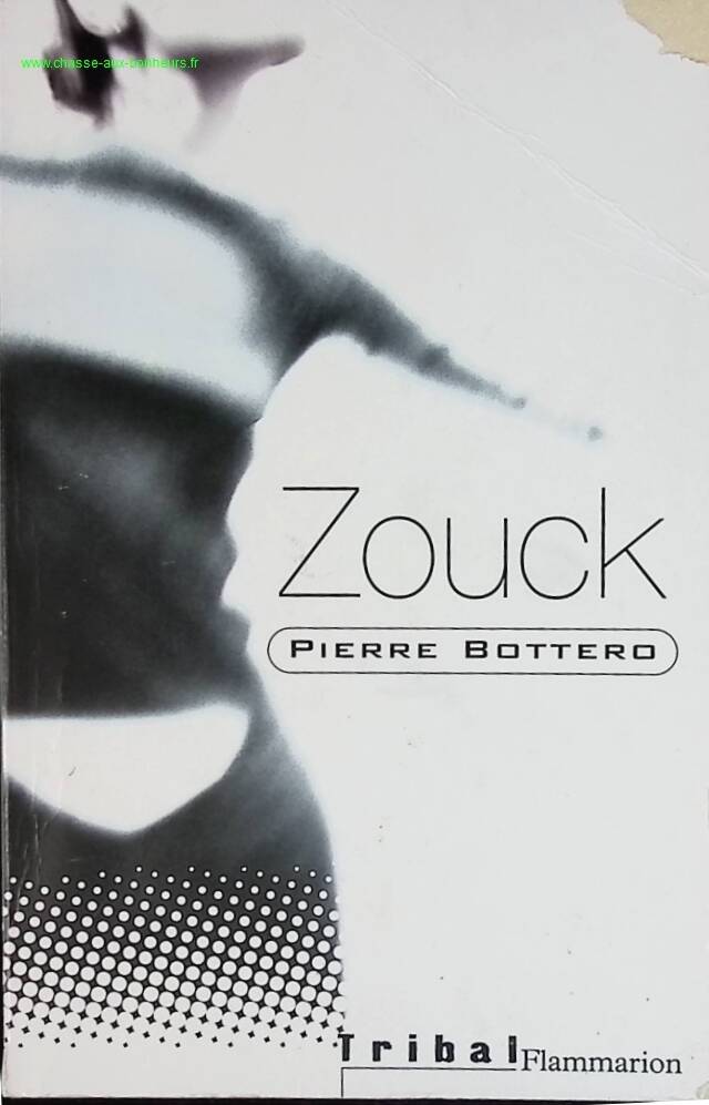 Zouck - Pierre Bottero - Buch