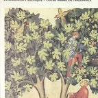 Das Zeichen des Baumes - Das keltische Horoskop - Ihr Geburtsbaum - Michaël Vescoli - Buch