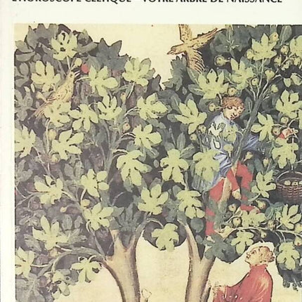 Das Zeichen des Baumes - Das keltische Horoskop - Ihr Geburtsbaum - Michaël Vescoli - Buch