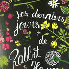 Les derniers jours de Rabbit Hayes - Anna McPartlin - livre