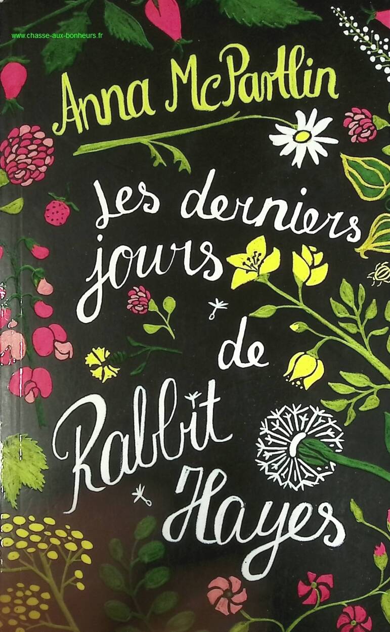 The Last Days of Rabbit Hayes - Anna McPartlin - book