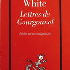 Briefe aus Gourgounel - Kenneth White - Buch