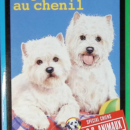 Kennel Chaos - Jenny Dale - Buch