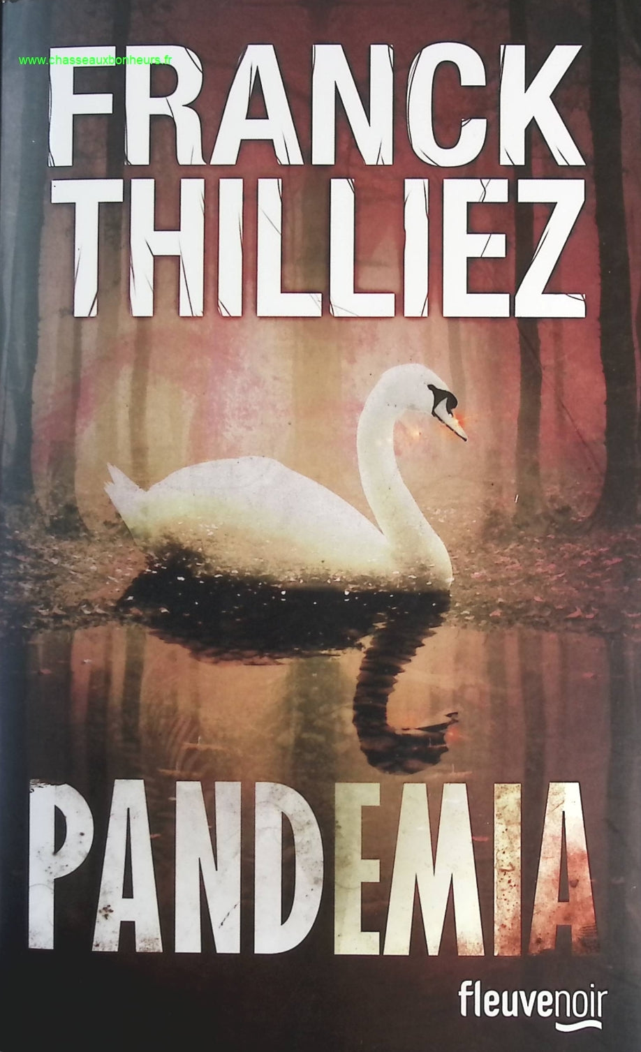 Someone Good - Françoise Bourdin - book