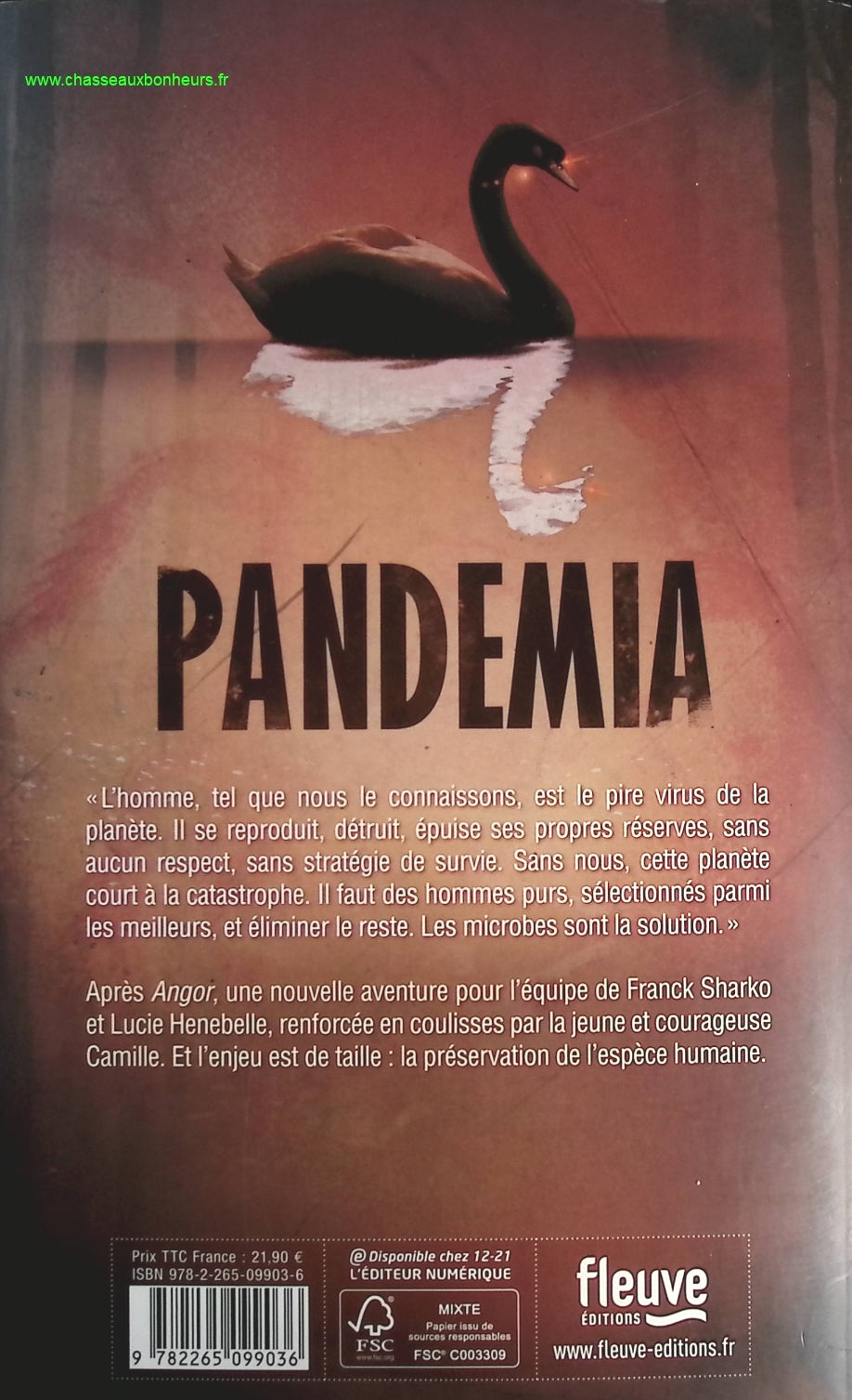 Someone Good - Françoise Bourdin - book