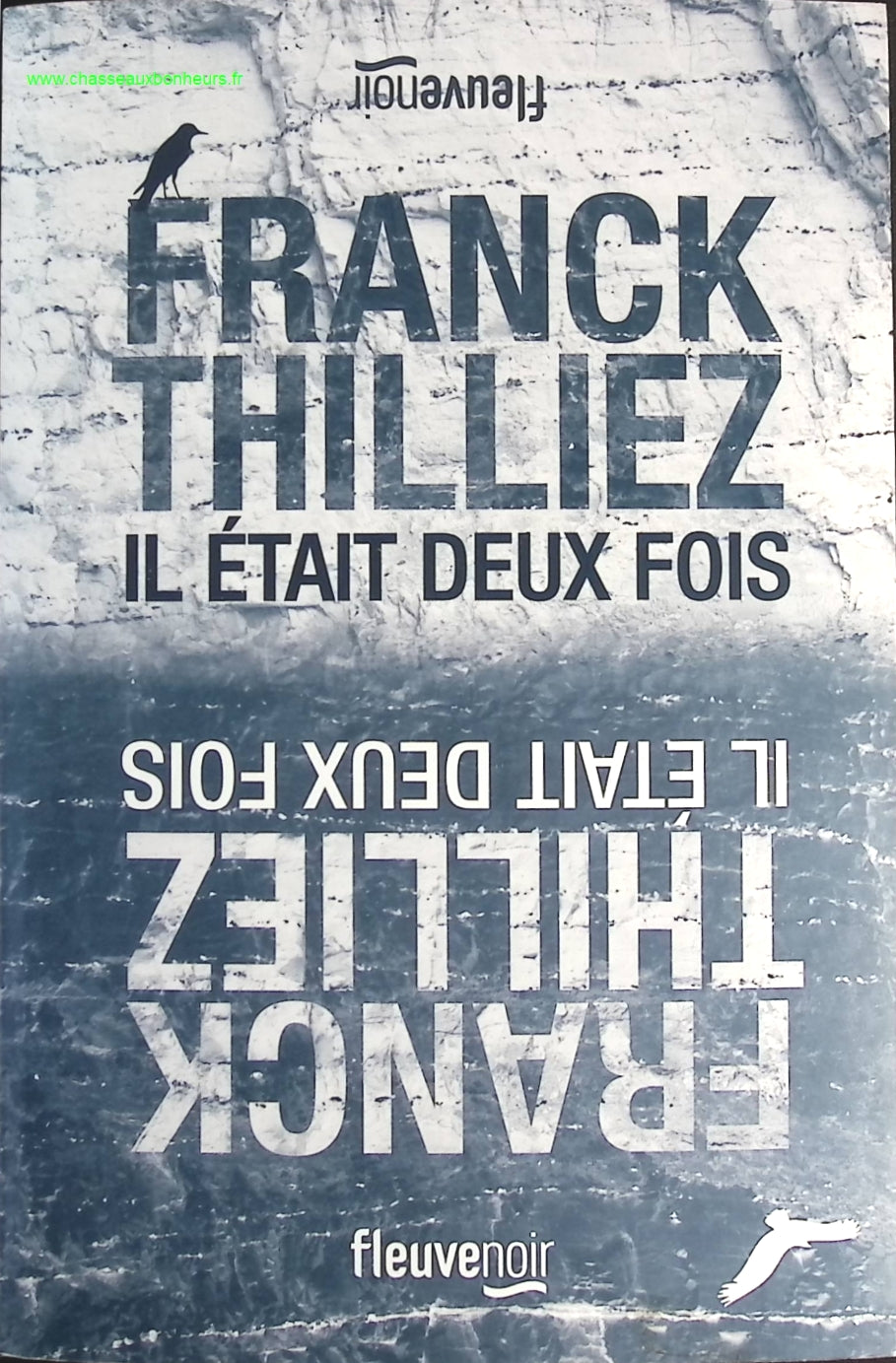 Someone Good - Françoise Bourdin - book