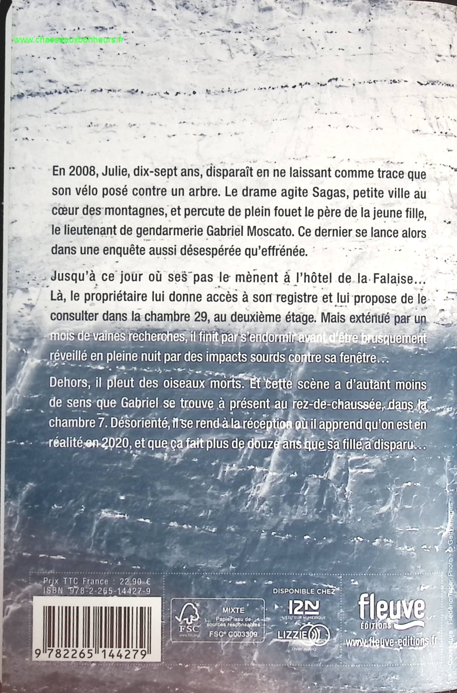 Someone Good - Françoise Bourdin - book