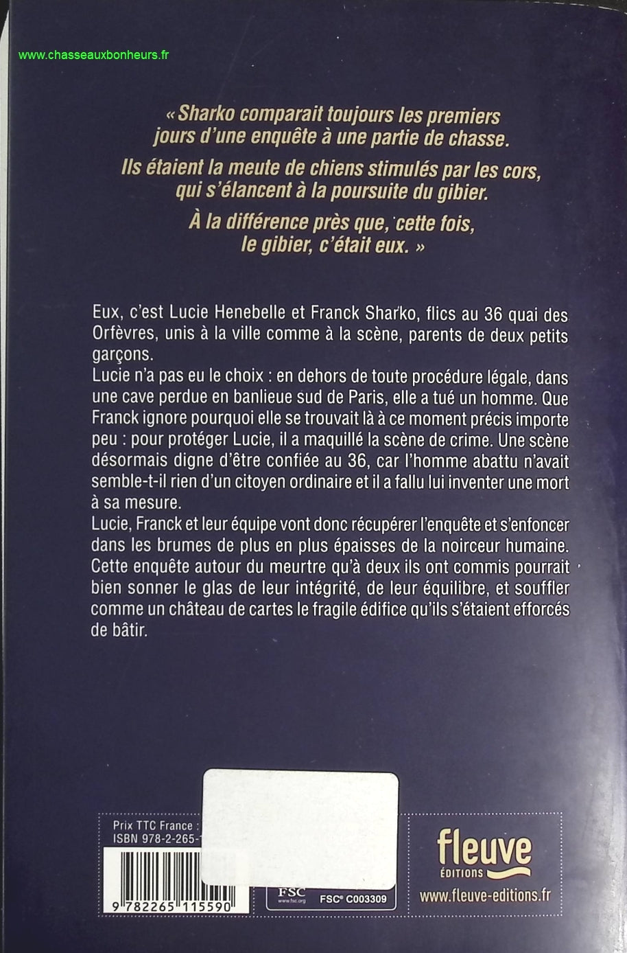 Someone Good - Françoise Bourdin - book