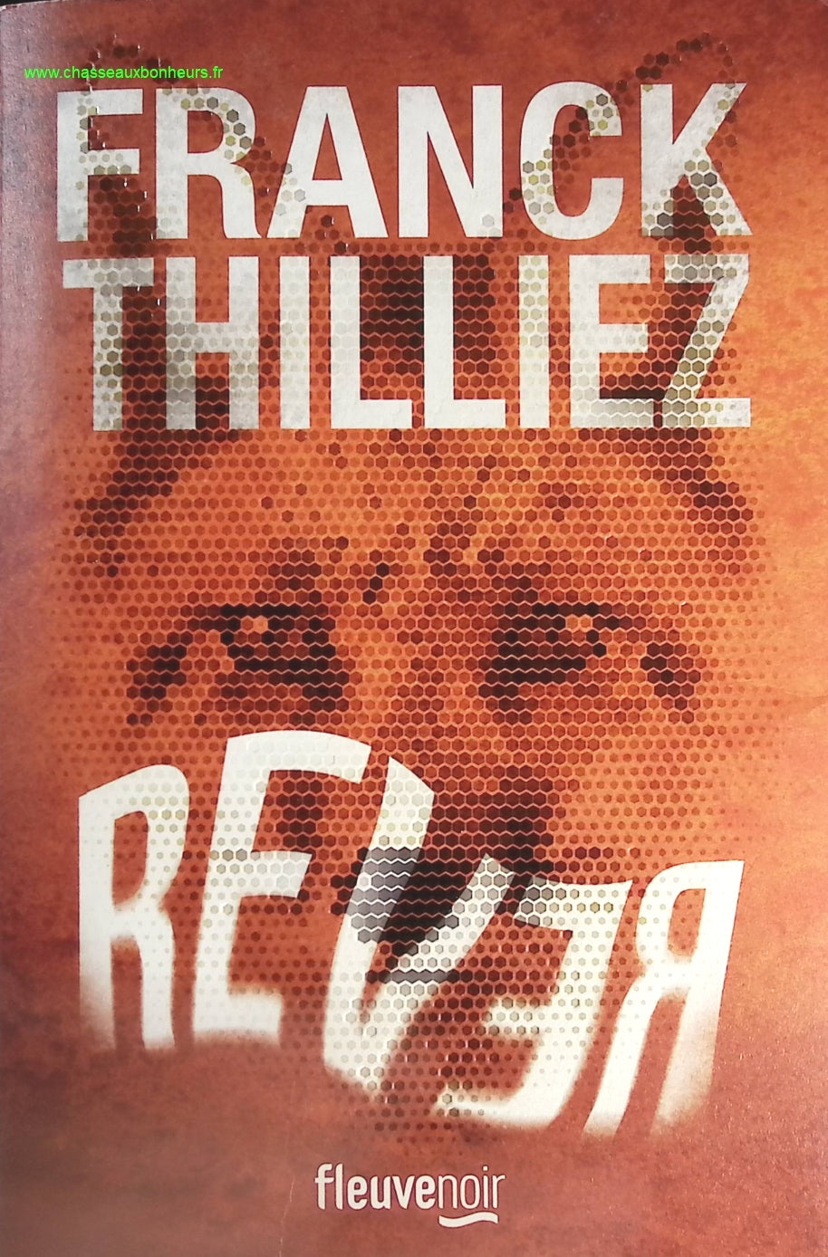 Someone Good - Françoise Bourdin - book