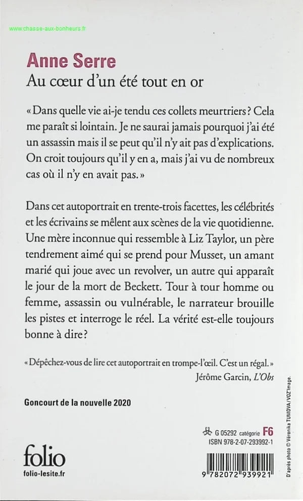 In the Heart of a Golden Summer - Anne Serre - book