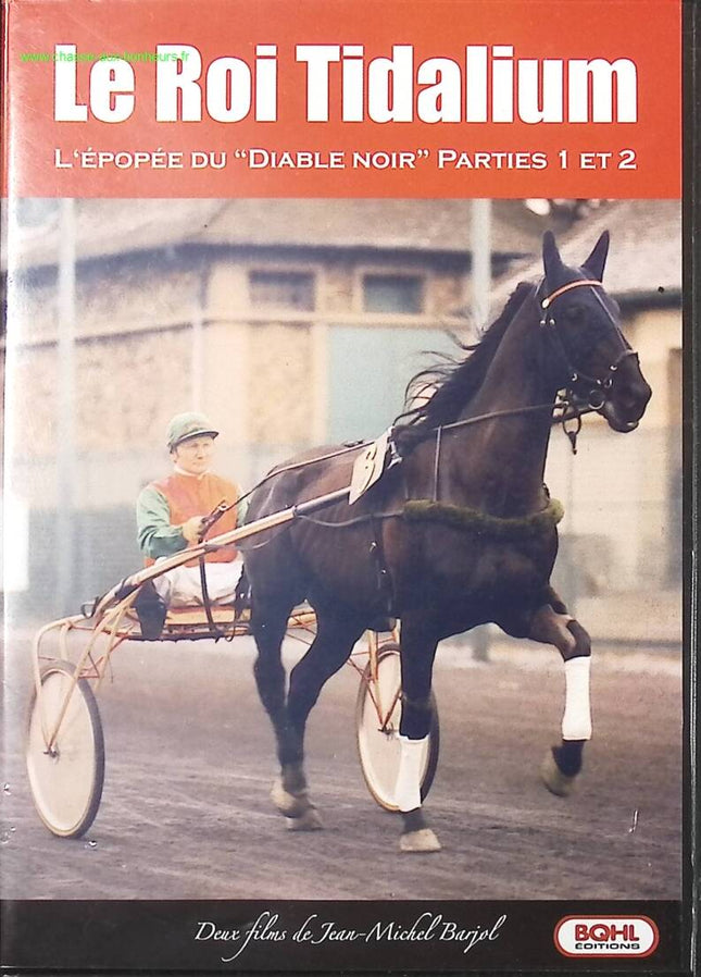 King Tidalium – Das Epos des schwarzen Teufels – Teil 1 und 2 – Jean-Michel Barjol – DVD