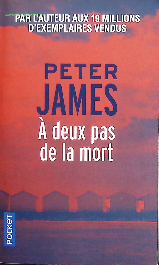 Zwei Schritte vom Tod entfernt - Peter James - Buch