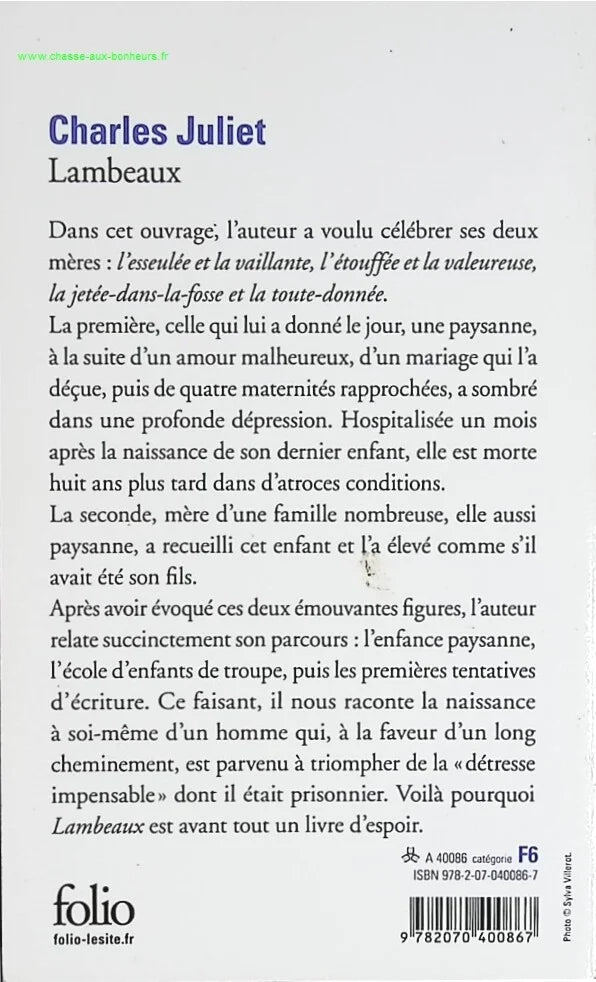 Lambeaux - Charles Juliet - book