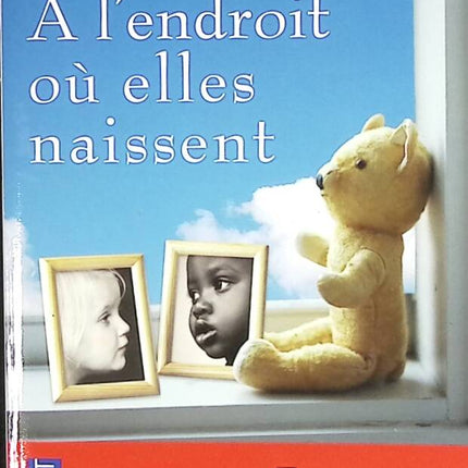 A l'endroit où elles naissent - Diane Peylin - livre