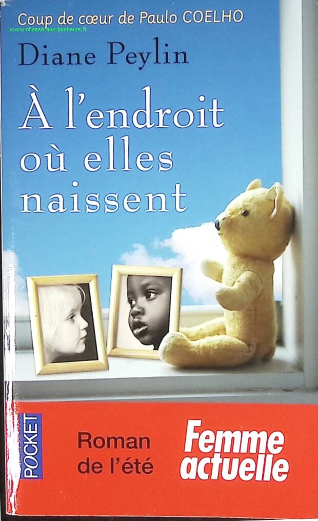 Where They Are Born - Diane Peylin - book