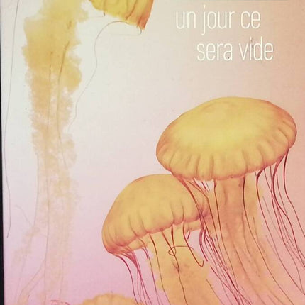 Un jour ce sera vide - Hugo Lindenberg - livre