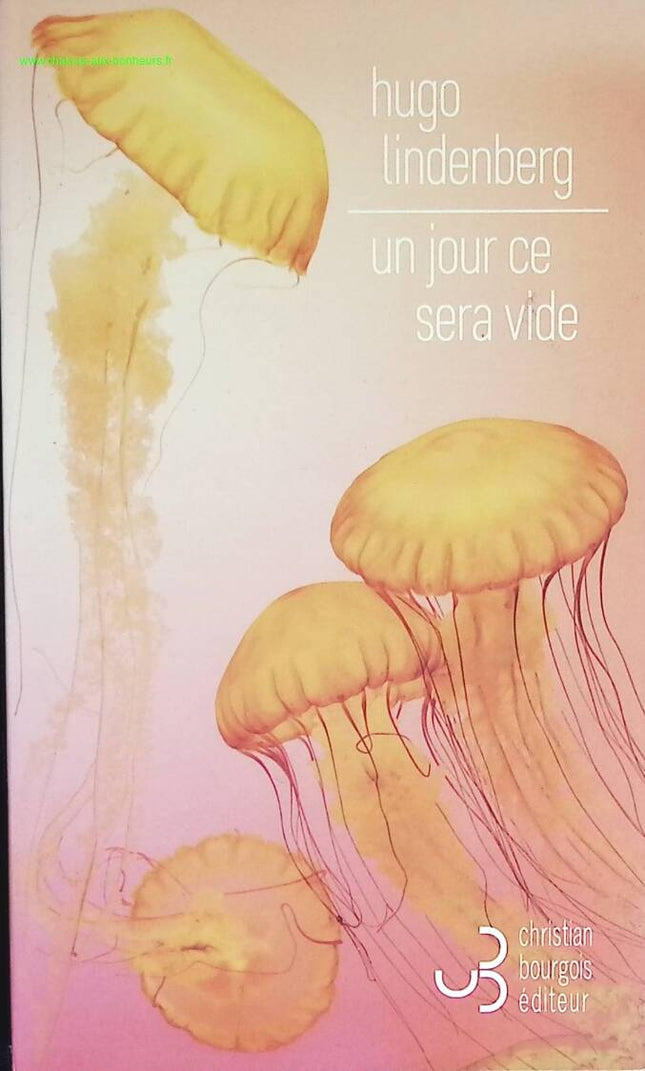 Un jour ce sera vide - Hugo Lindenberg - livre