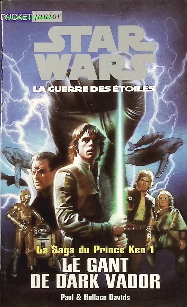 Star Wars: The Saga of Prince Ken - 1 Darth Vader's Gauntlet - Paul Davids - Book