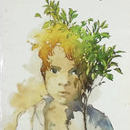 Mein schöner Orangenbaum - José Mauro de Vasconcelos - Buch
