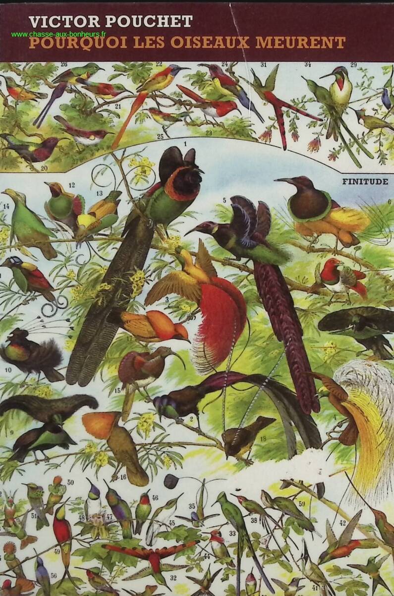 Why Birds Die - Victor Pouchet - Book