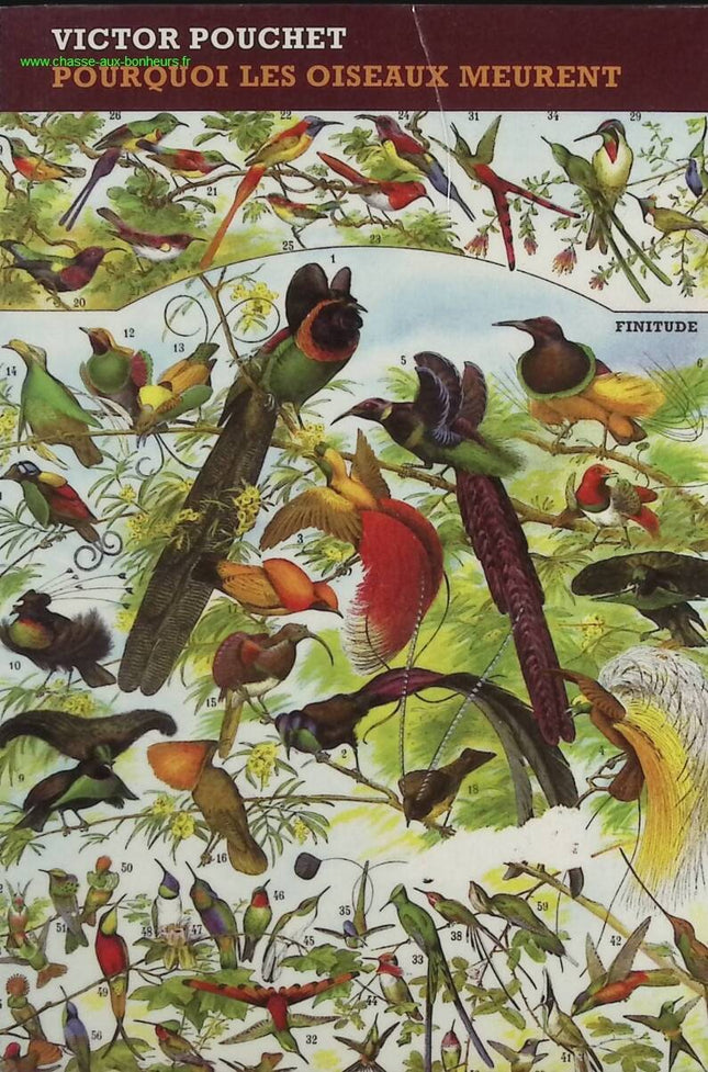 Why Birds Die - Victor Pouchet - Book