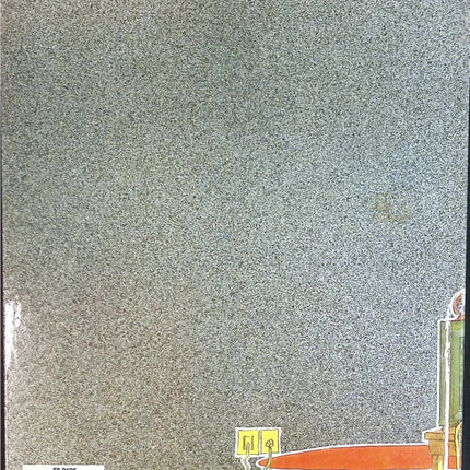 Les Bidochon - Tome 12 - Fluide Glacial - Téléspectateurs - Christian Binet - livre BD