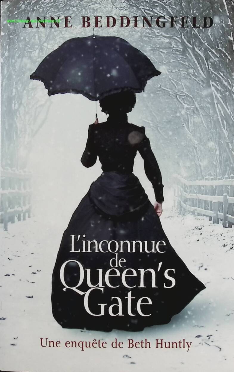 The Stranger at Queen's Gate - Anne Beddingfeld - Book