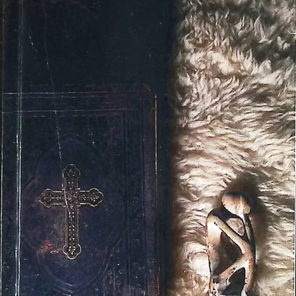 Temptation - Stephenie Meyer - Buch