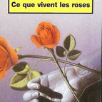 Ce que vivent les roses - Mary Higgins Clark - livre