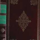 Die Michauds – Yves Turbergue – Buch