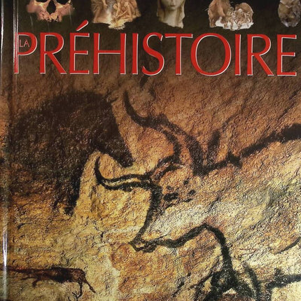 La préhistoire - Christine Sagnier, Jacques Dayan - livre