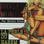 Die Perle des Harems – Nr. 292 – Brigade Mondaine – Gérard De Villiers – Michel Brice – Buch
