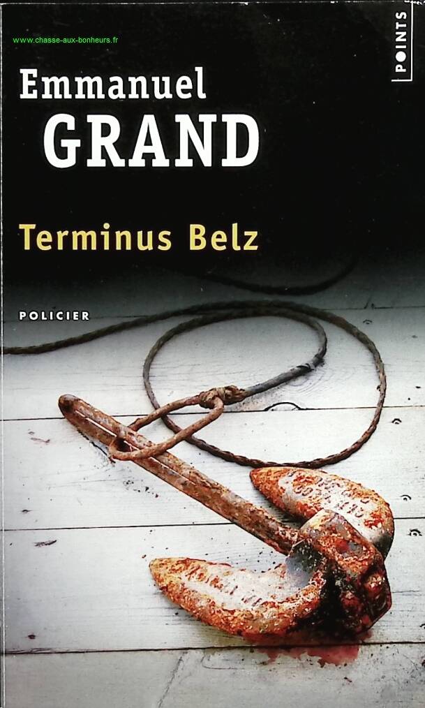 Terminus Belz - Emmanuel Grand, roman contemporain poignant sur la jeunesse et la marginalité - livre