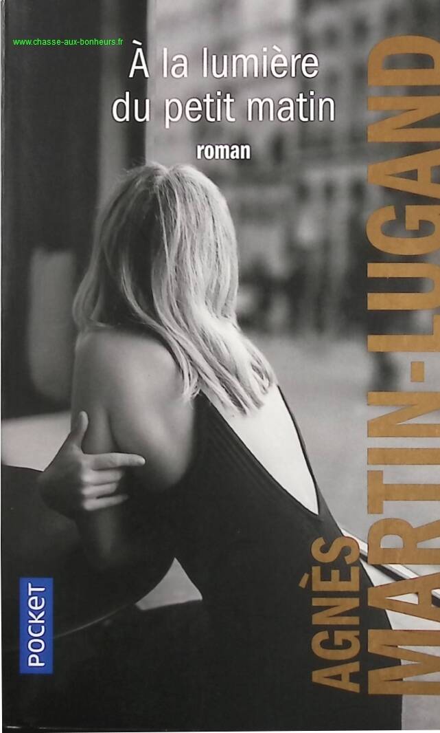 In the Light of Early Morning - Agnès Martin-Lugand - Book