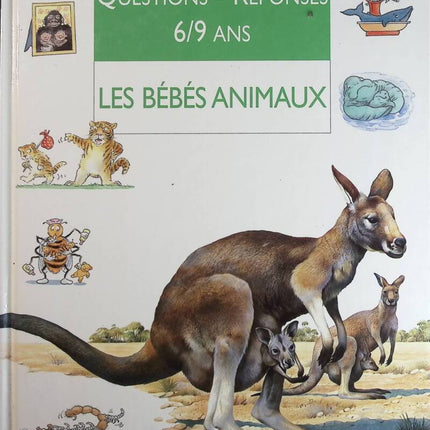 Baby Animals - Jenny Wood - book