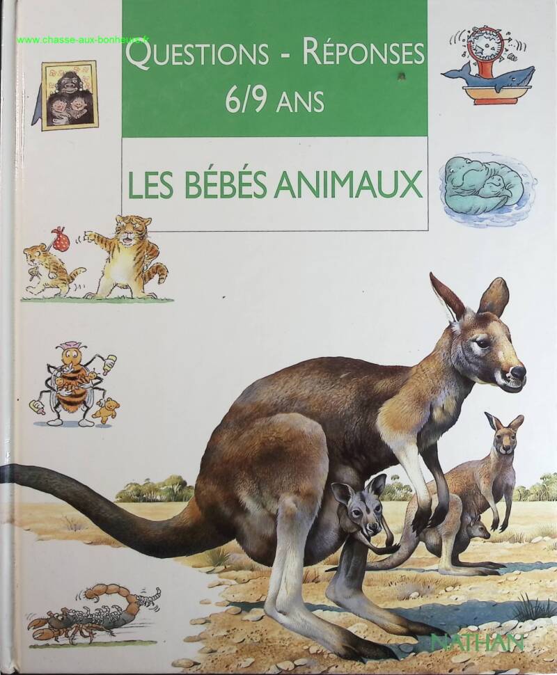 Baby Animals - Jenny Wood - book