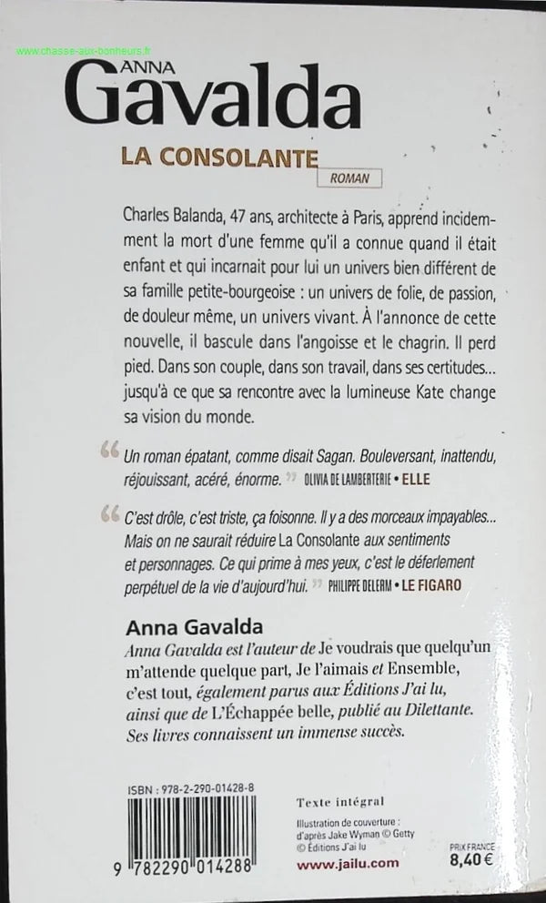 The Consolator - Anna Gavalda - book