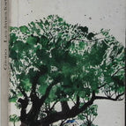 Starke Seelen - Jean Giono - Buch