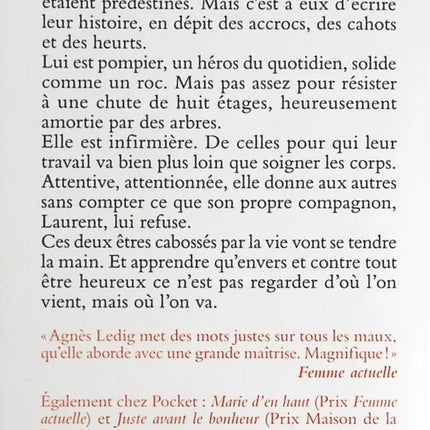 Pars avec lui – Agnès Ledig – roman émotion amour reconstruction occasion - Livre