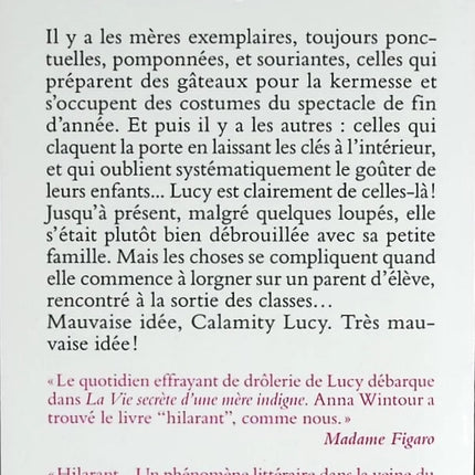 La vie secrète d'une mère indigne - Fiona Neill - livre