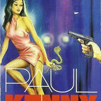 Die Follies von Singapur - Paul Kenny - Buch
