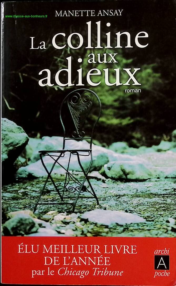 The Hill of Goodbyes - Manette Ansay - Book