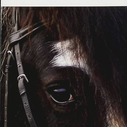 Le cheval - Léon Tolstoï - Livre