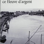 In den Adern dieser Fluss aus Silber - Dario Franceschini - Buch