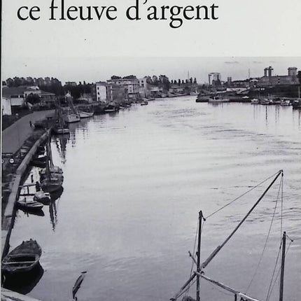 In den Adern dieser Fluss aus Silber - Dario Franceschini - Buch